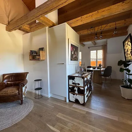 Comfy, Spacious And Duplex *